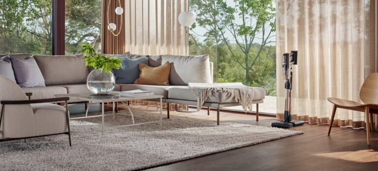 Aspirateur Balai Electrolux 