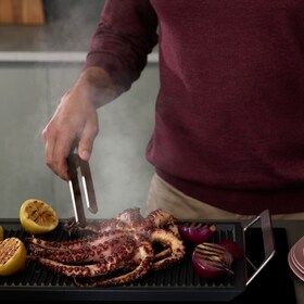 Plancha Gril Electrolux