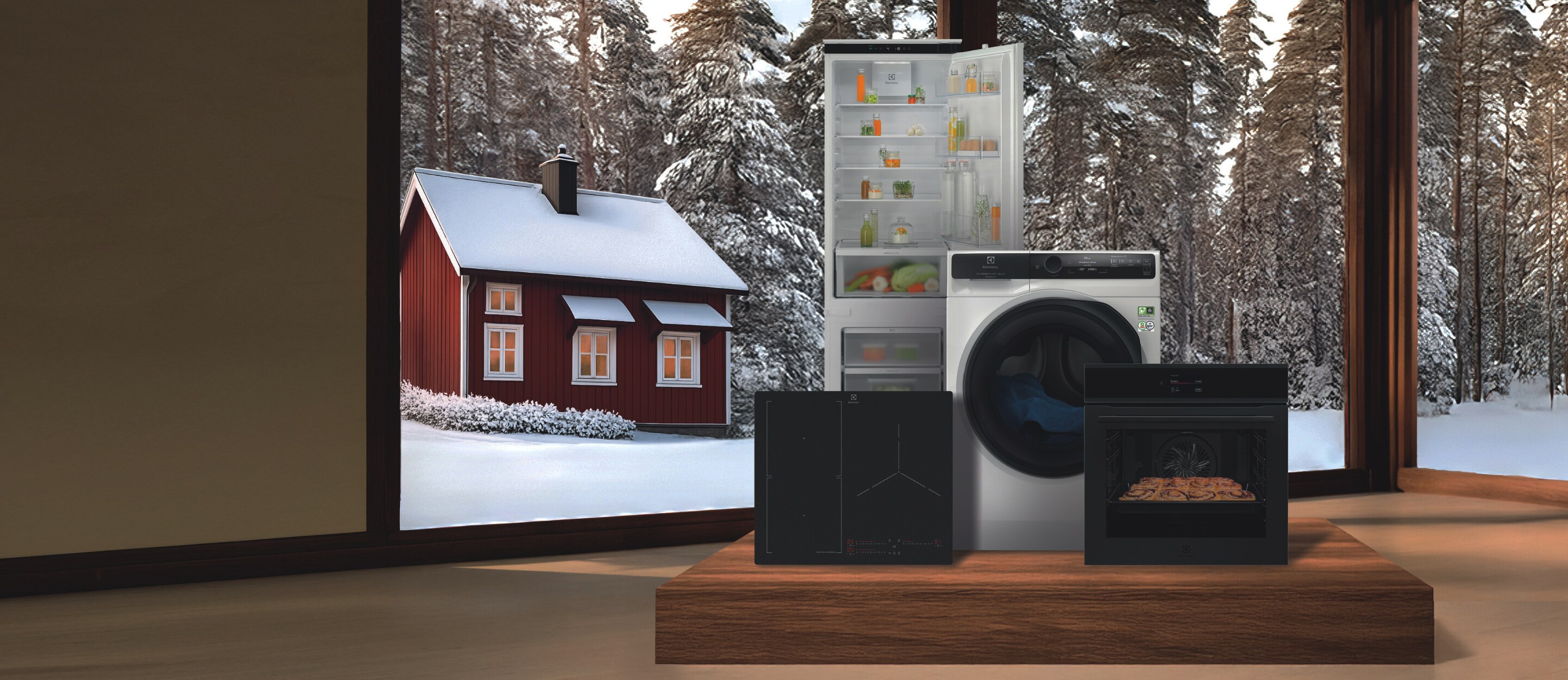 Bons plans Electrolux