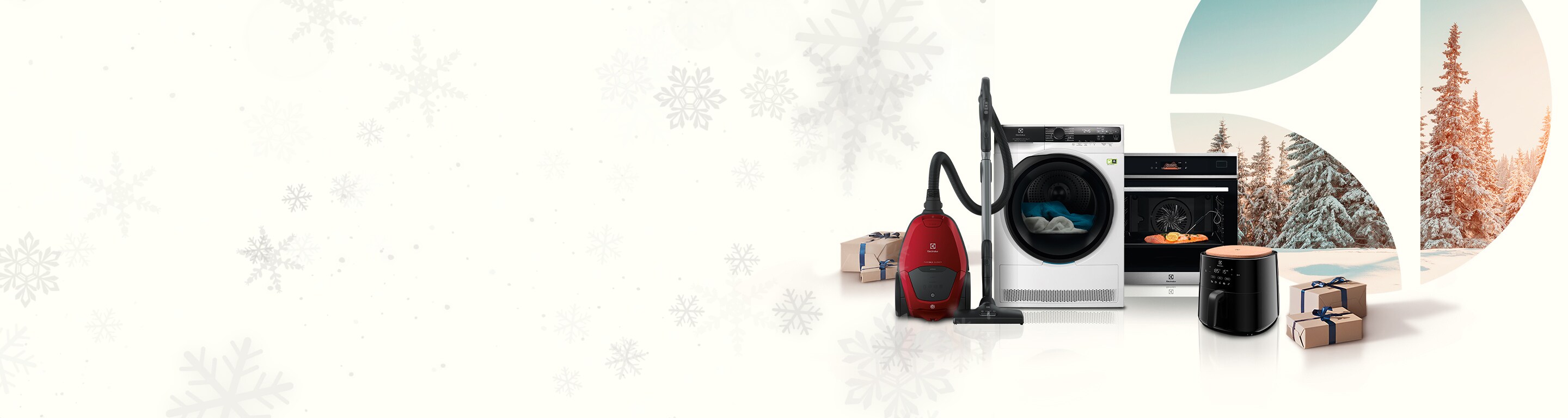 Bons plans Electrolux