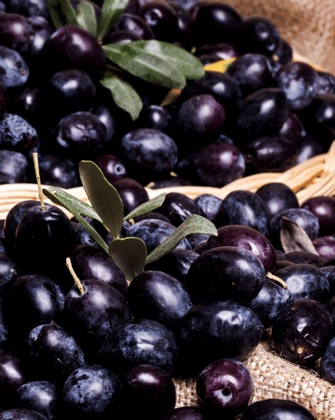 Tartine tapenade noire bio et ses légumes d'été
