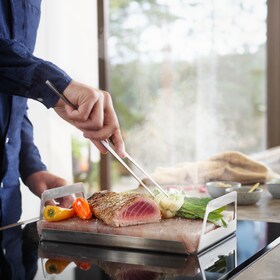 Pierre de sel Electrolux