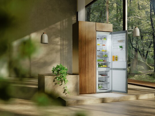 Electrolux EcoLine - combinés