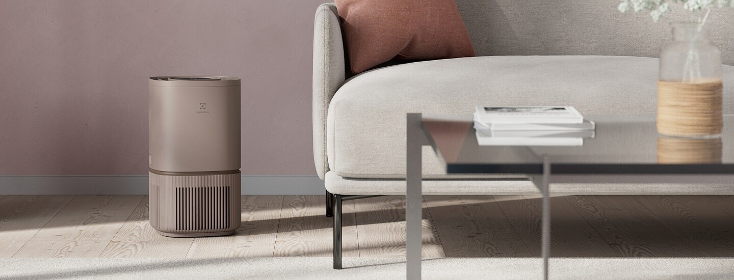  purificateur d'air Pure 500