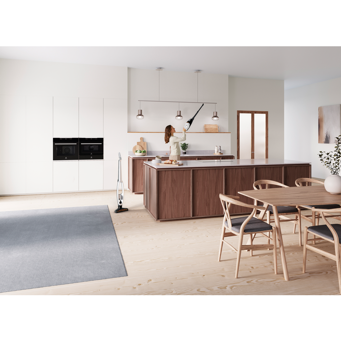 Electrolux - Balai sans fil - WQ81-ALRS