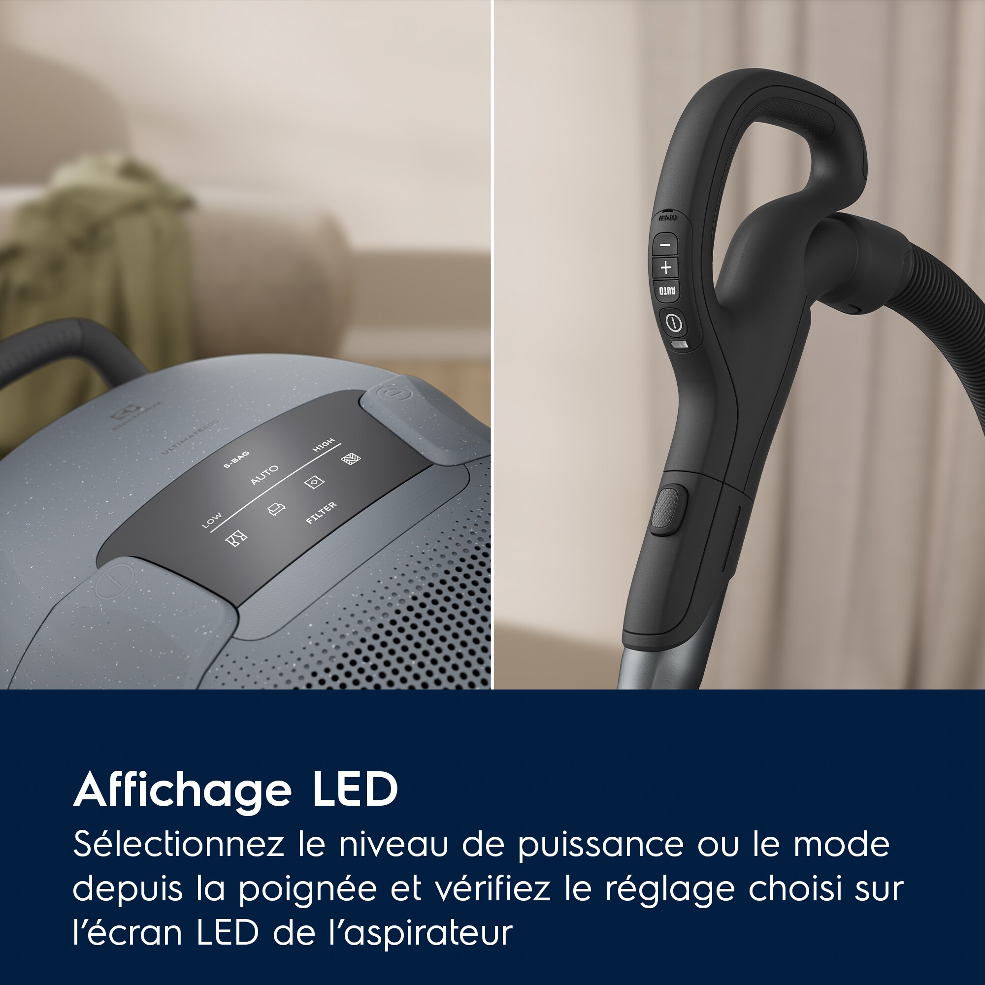 Electrolux - Aspirateur avec sac - EB81U1LDB