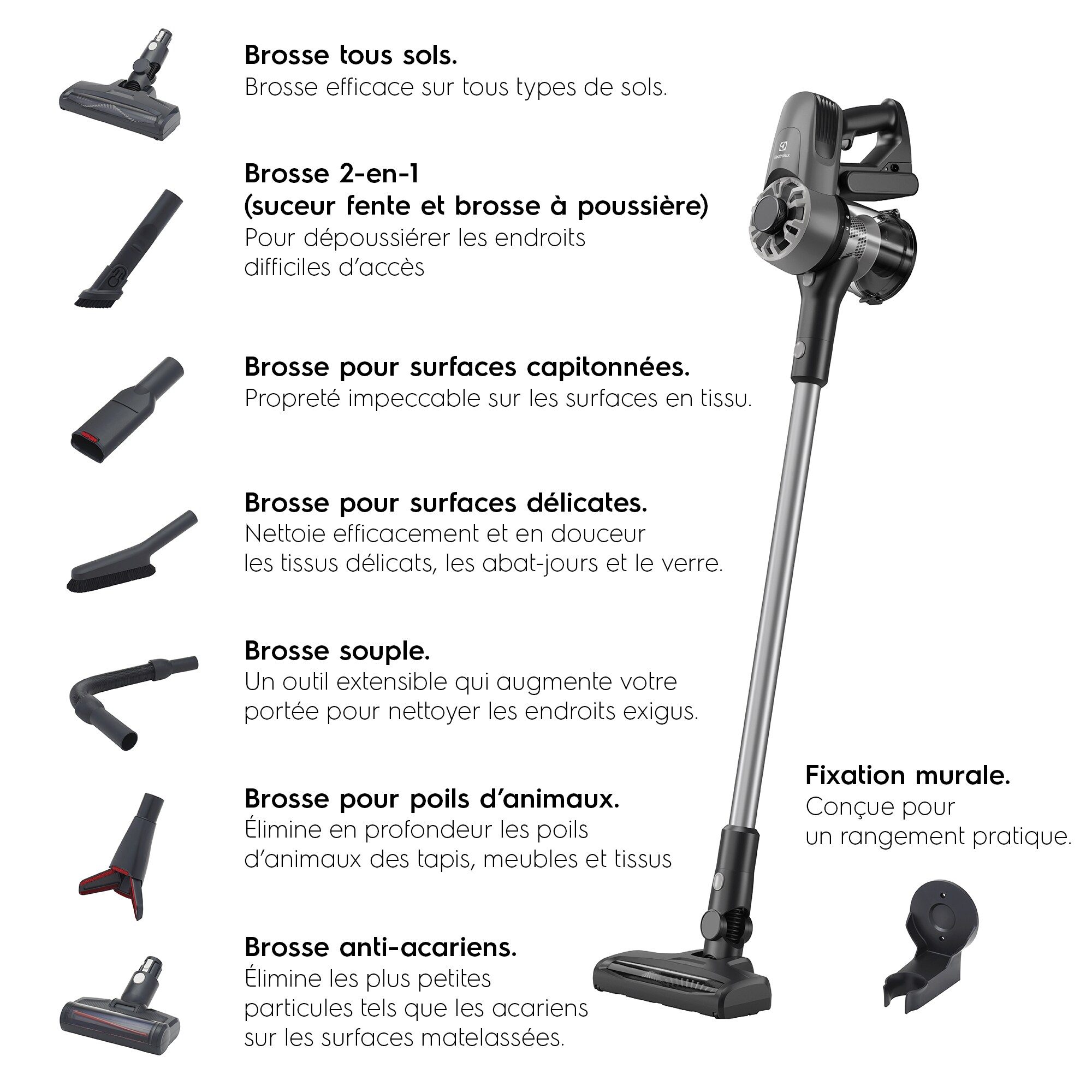 Electrolux - Balai sans fil - EP31CB21GP