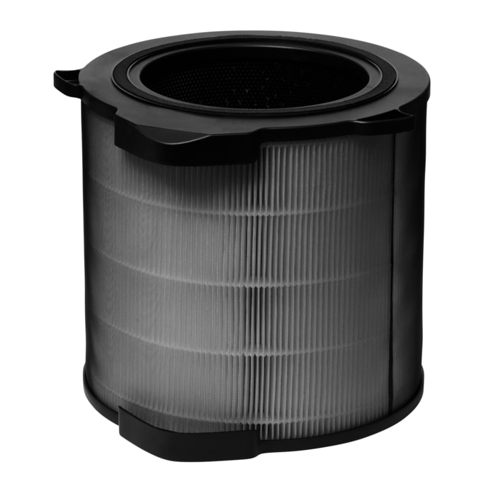 Electrolux - Filtres pour purificateurs d'air - EFDCAR4