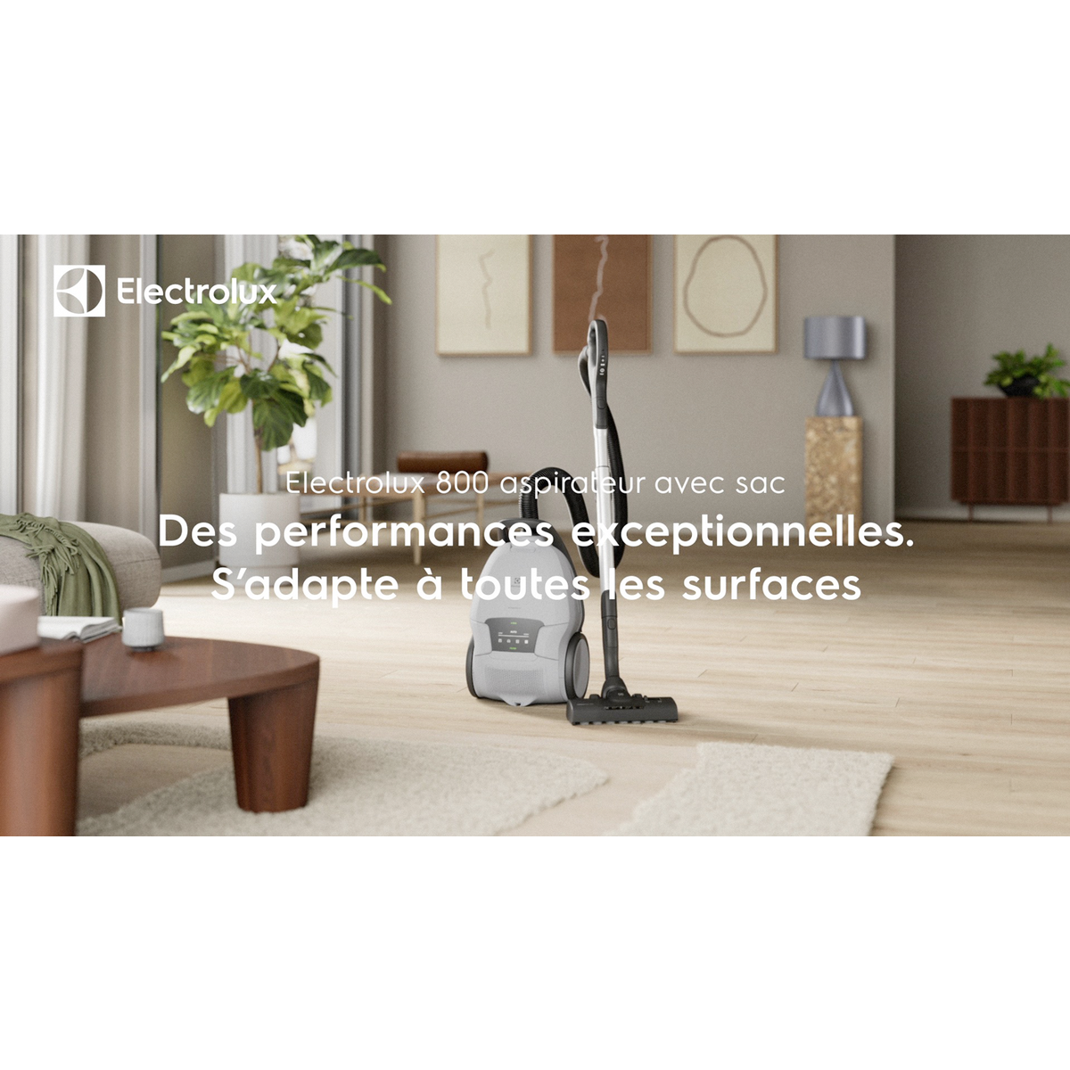 Electrolux - Aspirateur avec sac - EB81A3UG