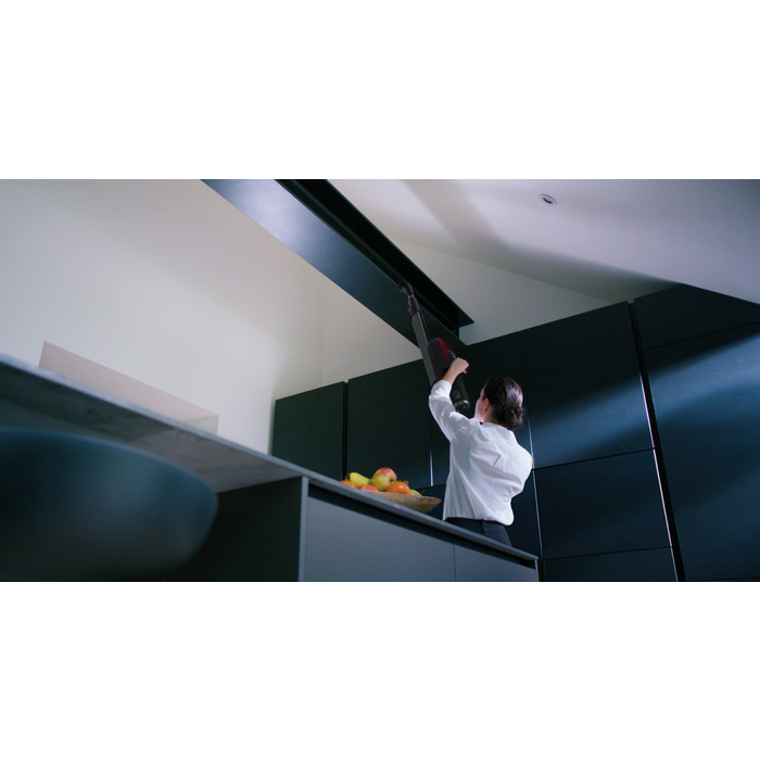 Electrolux - Balai sans fil - PF91-ANIMA