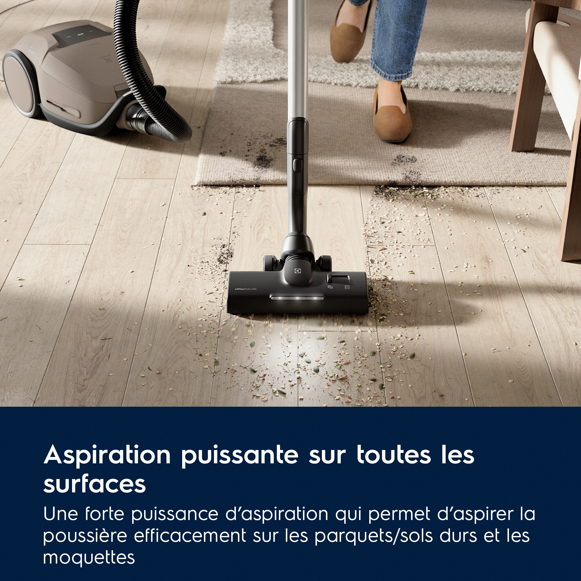 Electrolux - Aspirateur avec sac - EB81U1WB