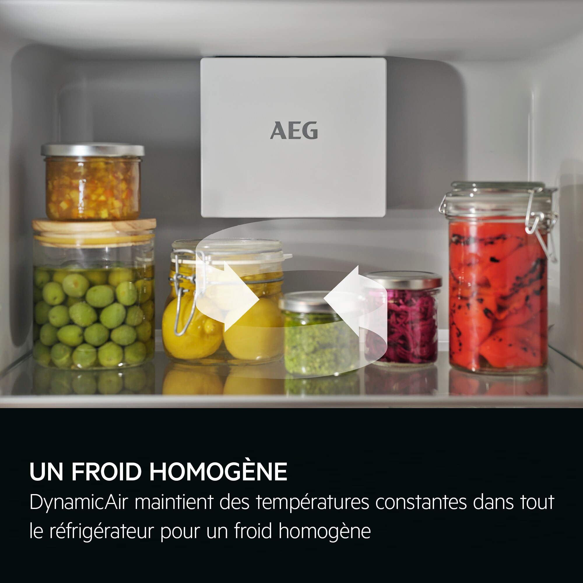 AEG - Réfrigérateur/congélateur combiné encastrable - SCK618F3FS