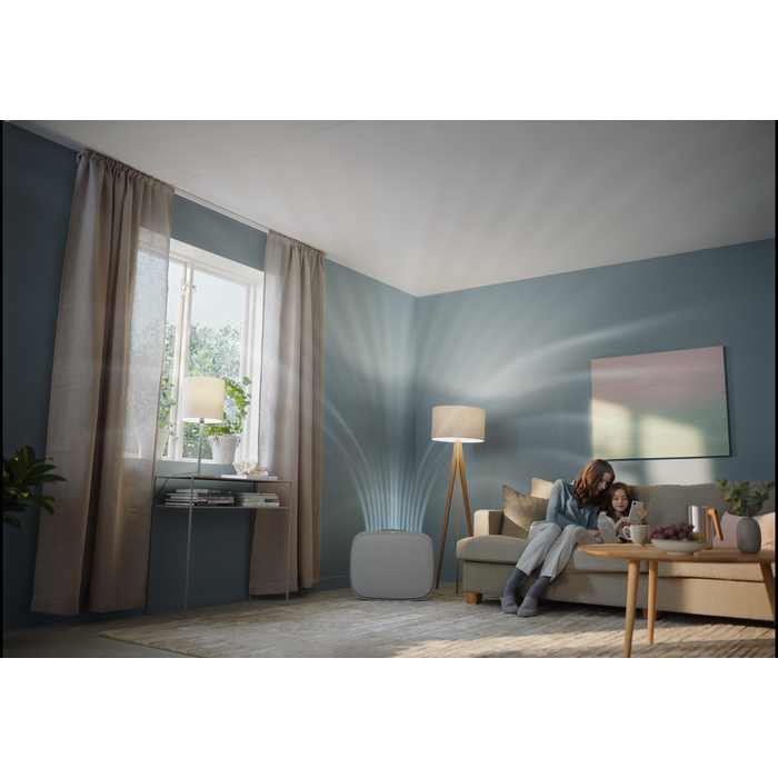 Electrolux - Filtres pour purificateurs d'air - EFWCAR3