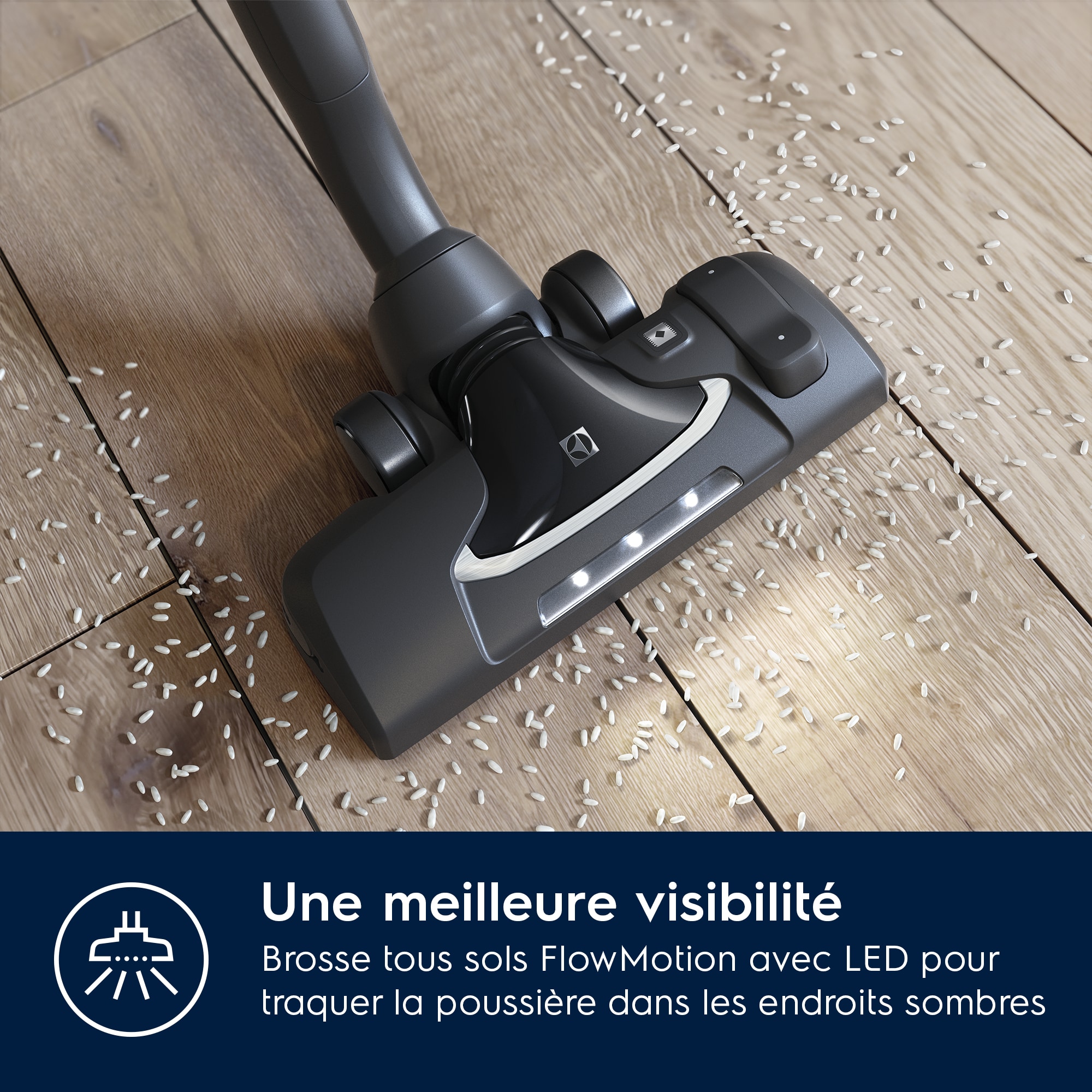 Electrolux - Aspirateur sans sac - PC91-ANIMA
