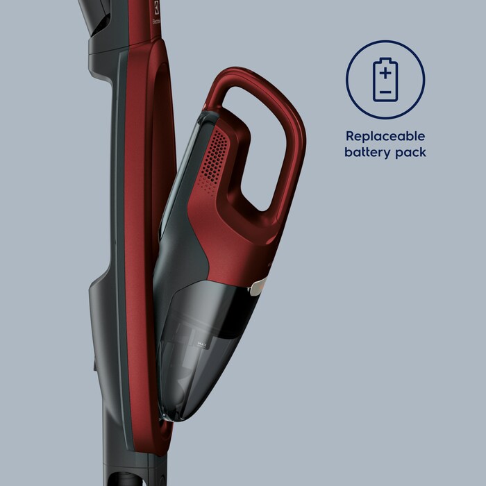 Electrolux - Balai sans fil - WQ71-ANIMA