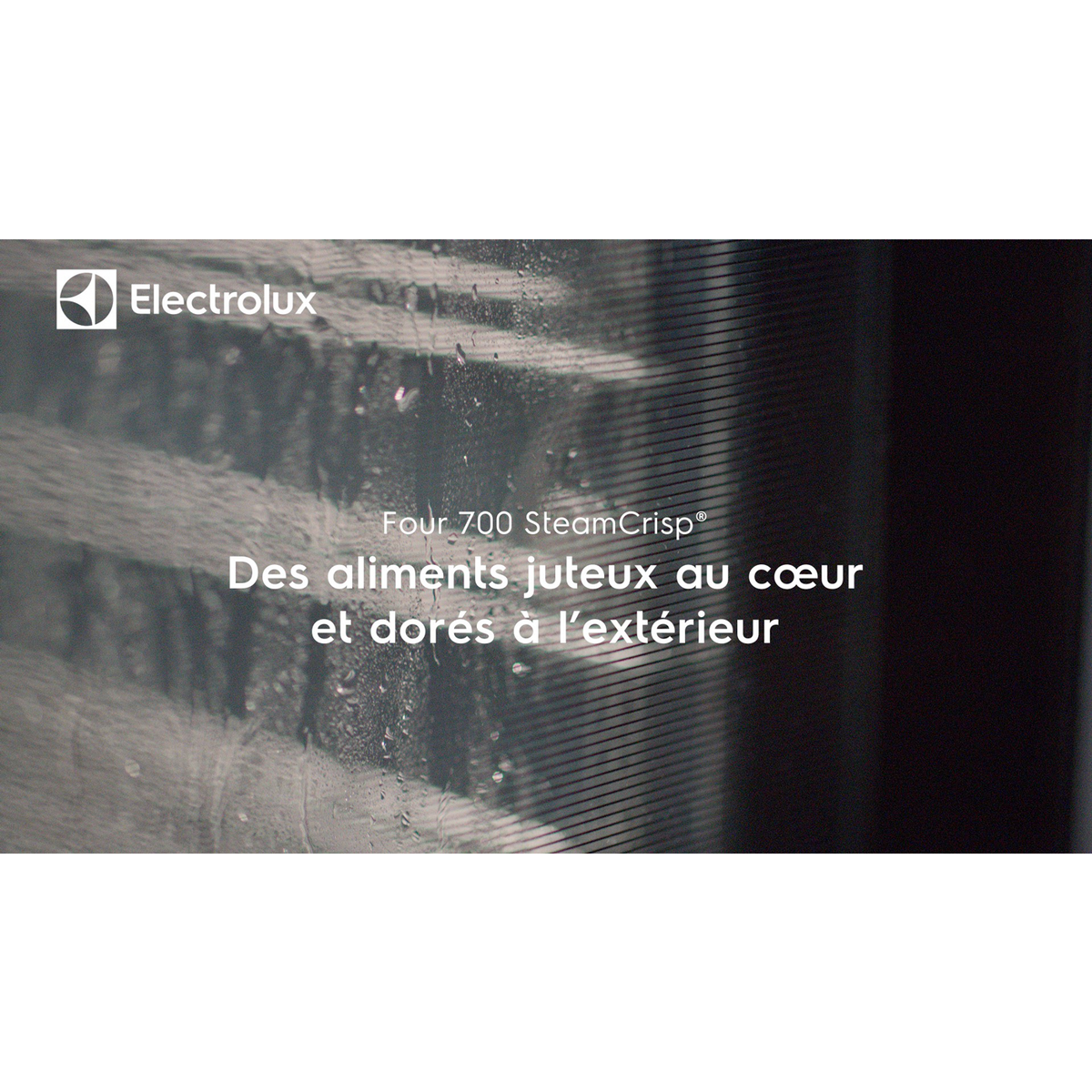 Electrolux - Four vapeur - EOC6P77WH
