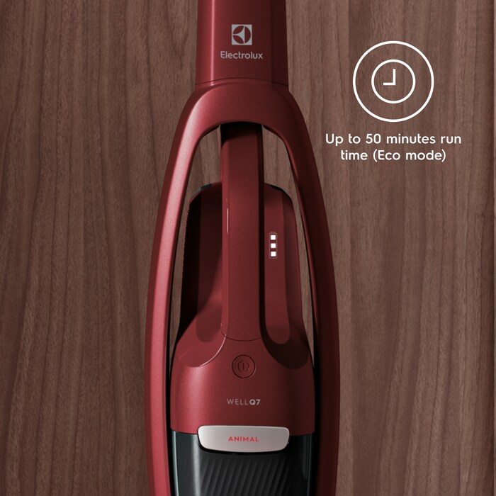 Electrolux - Balai sans fil - WQ71-ANIMA