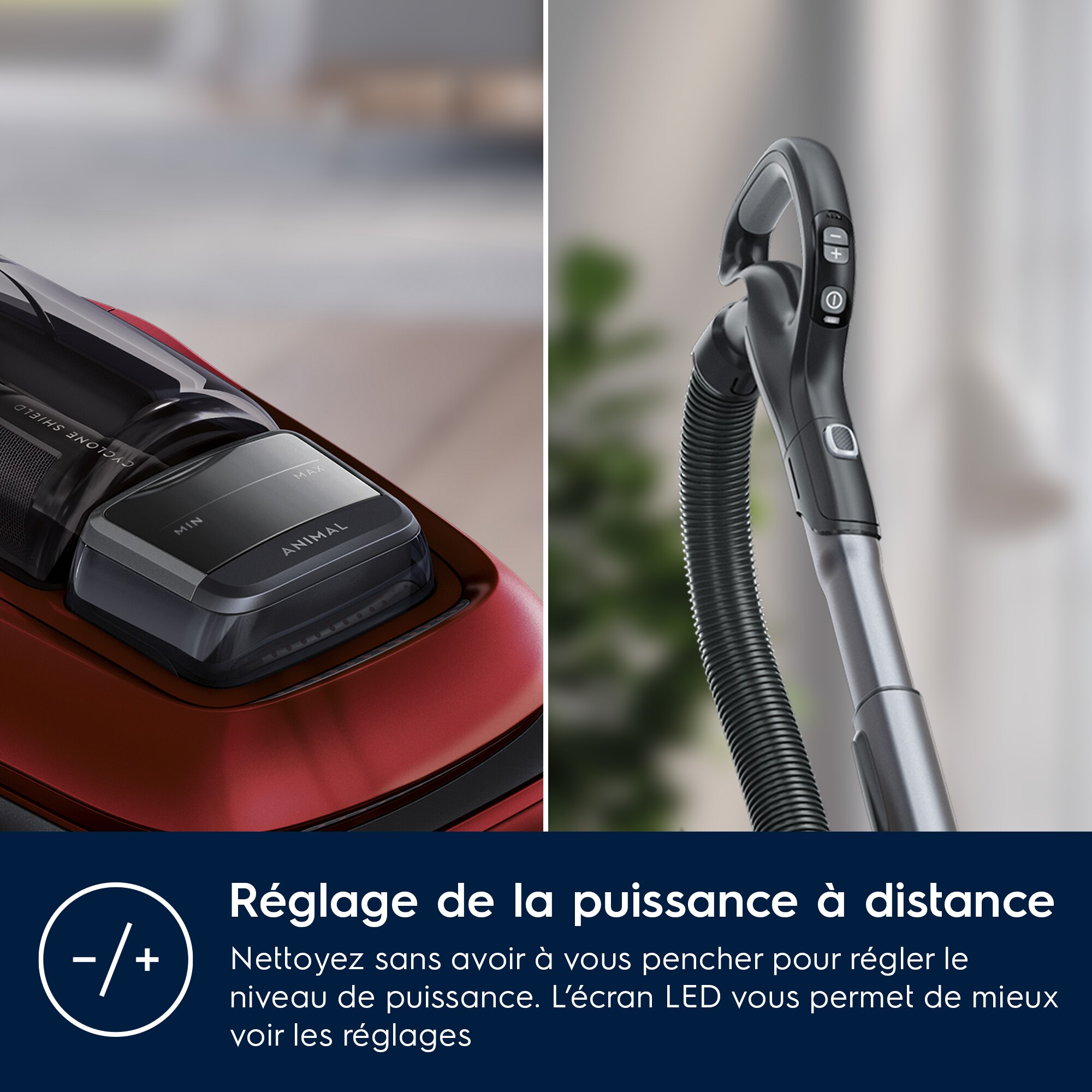 Electrolux - Aspirateur sans sac - PC91-ANIMA