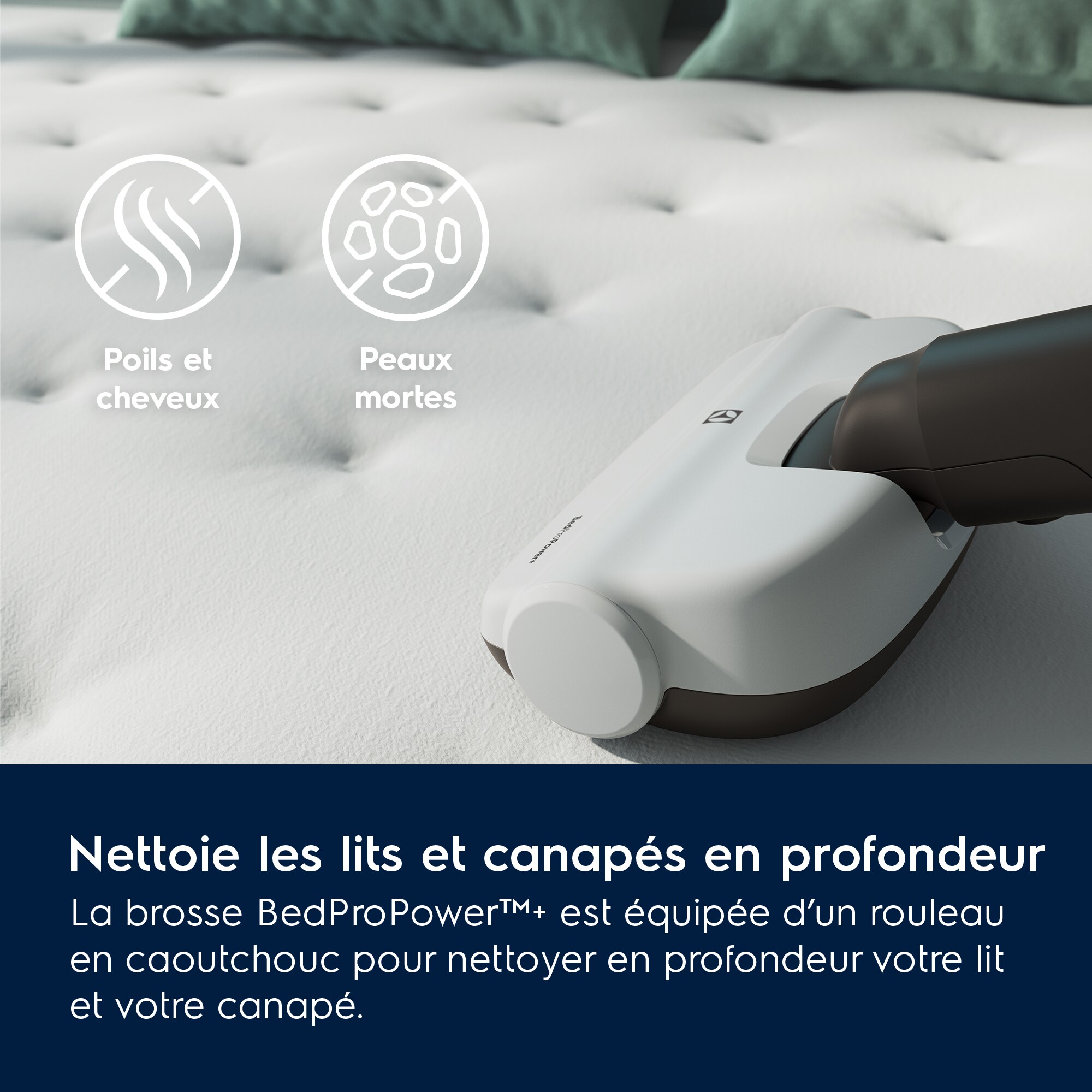 Electrolux - Balais avec fil - EP71HB14SH