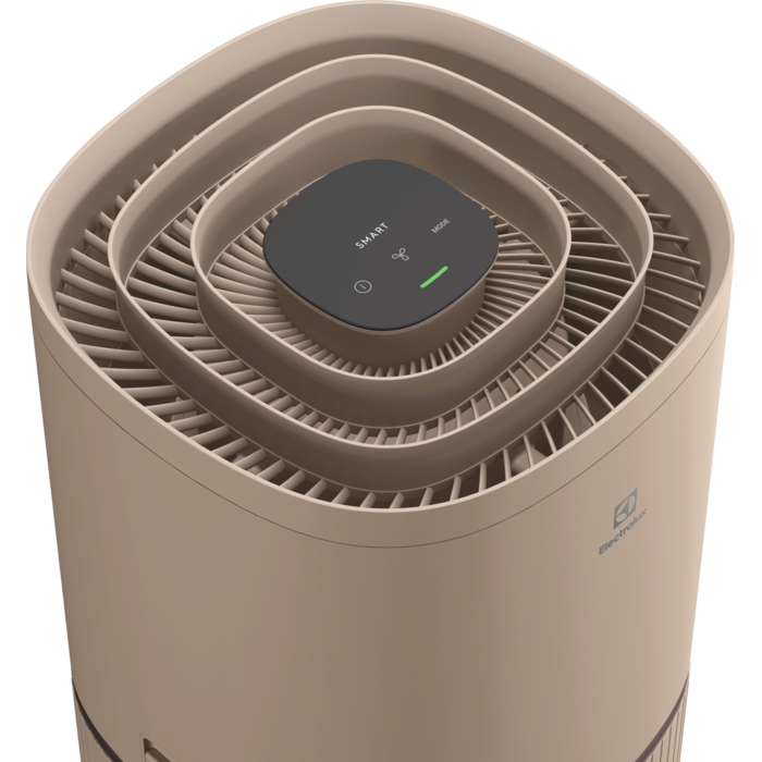 Electrolux - Purificateur d'air Oxygen - EPO50571BG