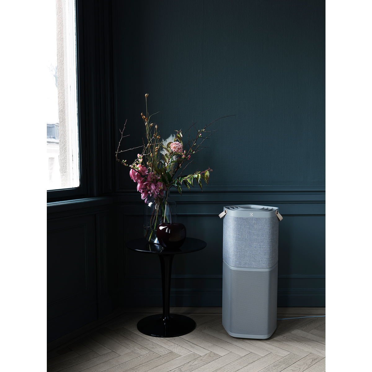 Electrolux - Purificateur d'air Oxygen - PA91-604GY