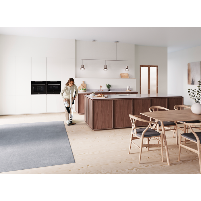 Electrolux - Balai sans fil - WQ81-ALRS