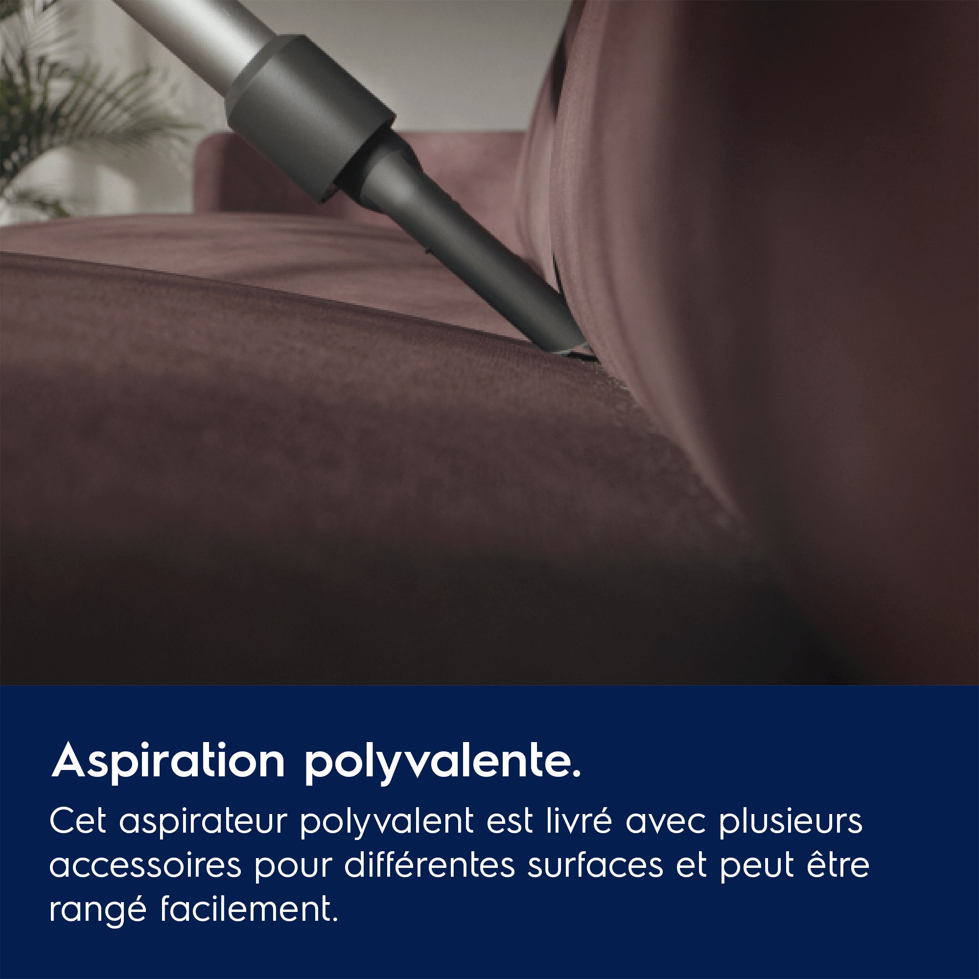 Electrolux - Balai sans fil - EP31CB18IW