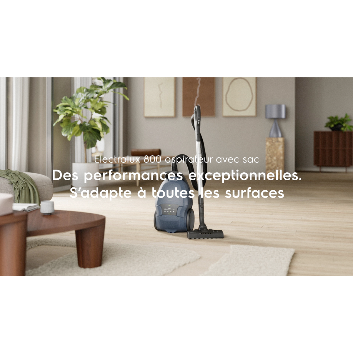 Electrolux - Aspirateur avec sac - EB81U1DB