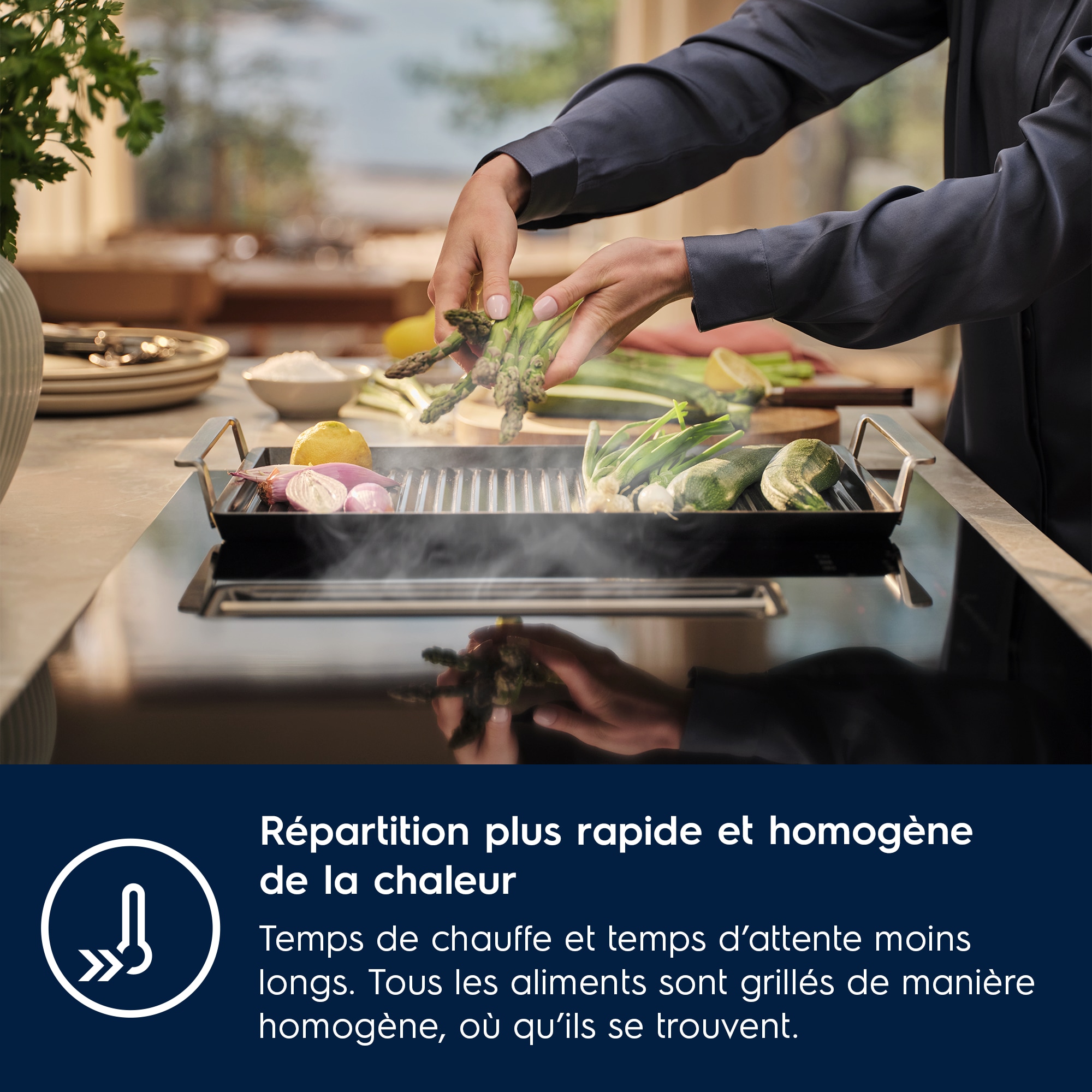 Electrolux - Plancha Gril - E9HHPG11