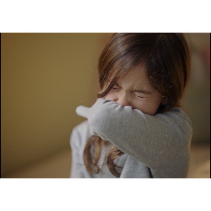 Electrolux - Filtres pour purificateurs d'air - EFWCAR3