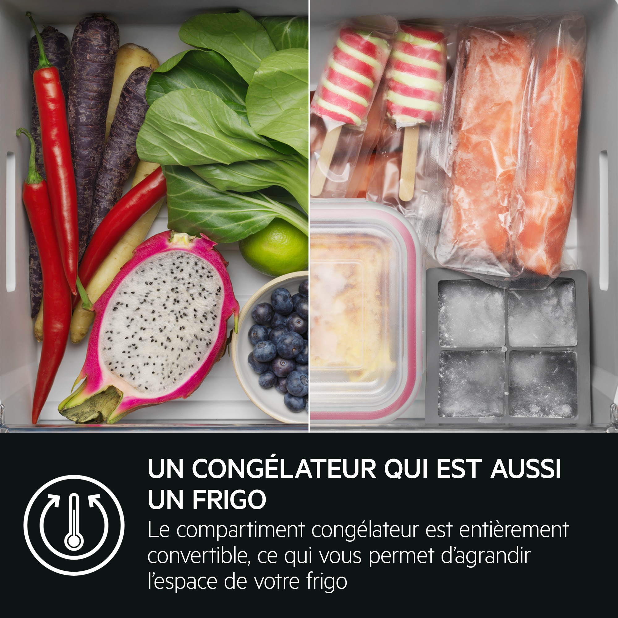 AEG - Réfrigérateur/congélateur combiné encastrable - TSC9V181BS