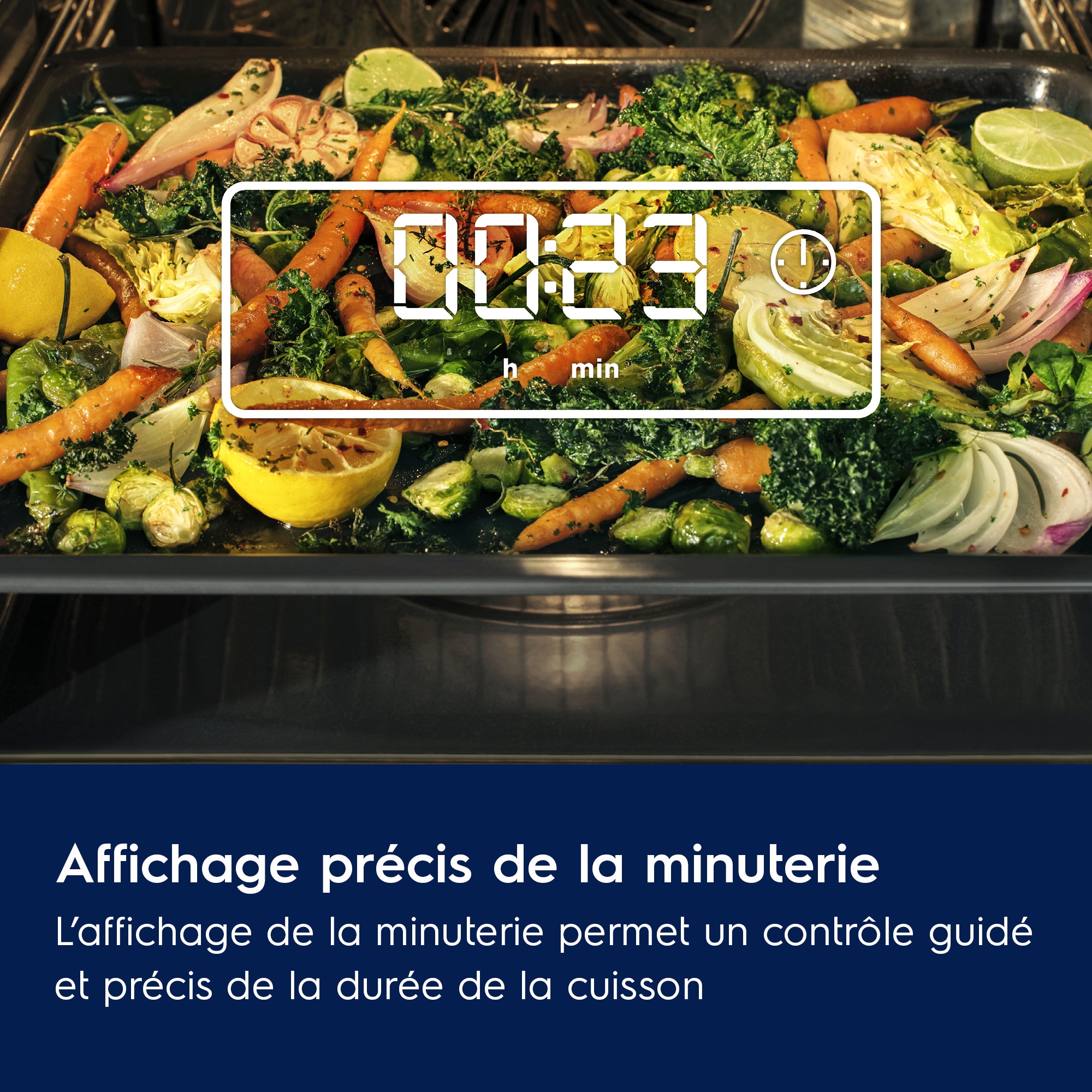 Electrolux - Four vapeur - EOD5H40X