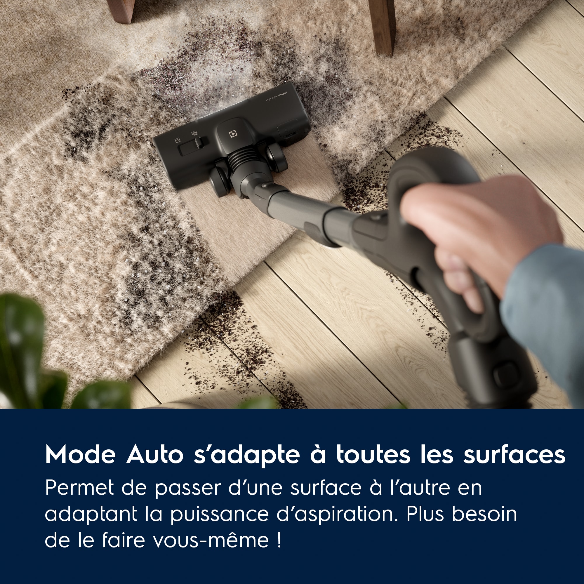 Electrolux - Aspirateur avec sac - EB81U1DB