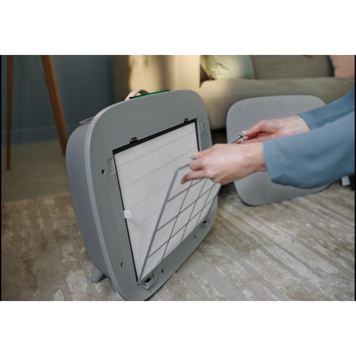 Electrolux - Filtres pour purificateurs d'air - EFWCAR3