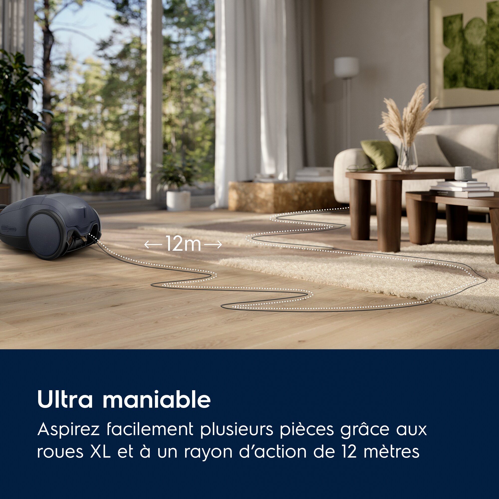 Electrolux - Aspirateur avec sac - EB81U1DB