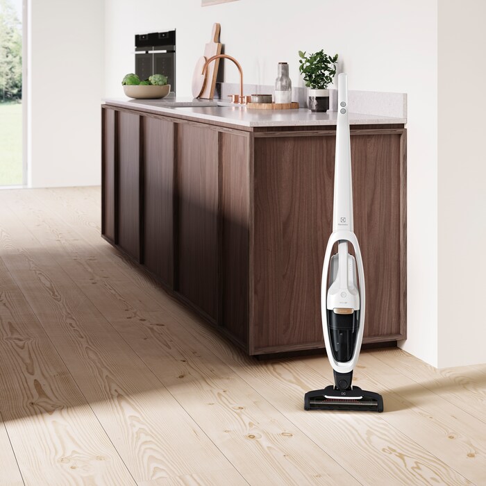 Electrolux - Balai sans fil - WQ81-ALRS