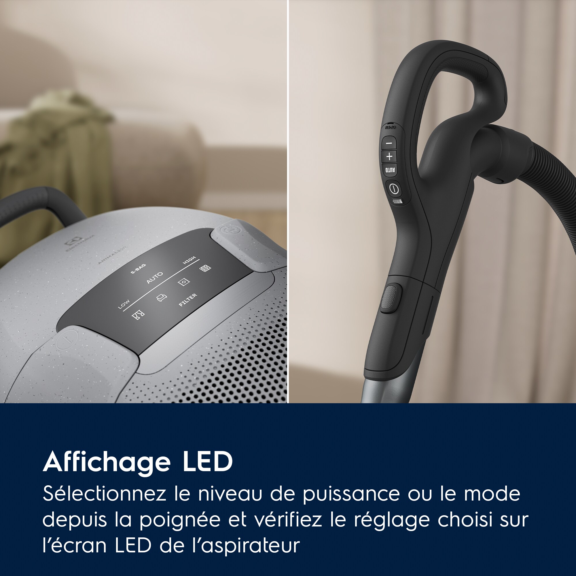 Electrolux - Aspirateur avec sac - EB81A3UG