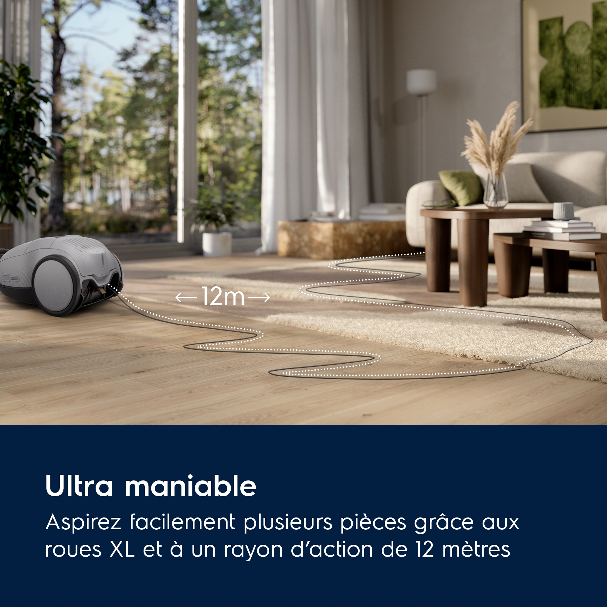 Electrolux - Aspirateur avec sac - EB81A3UG