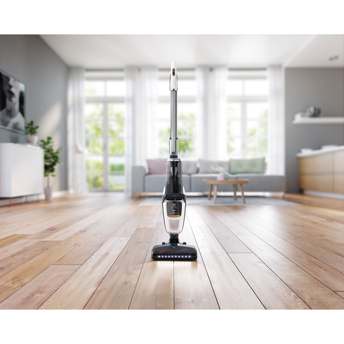 Electrolux - Balai sans fil - PF91-ALRGY