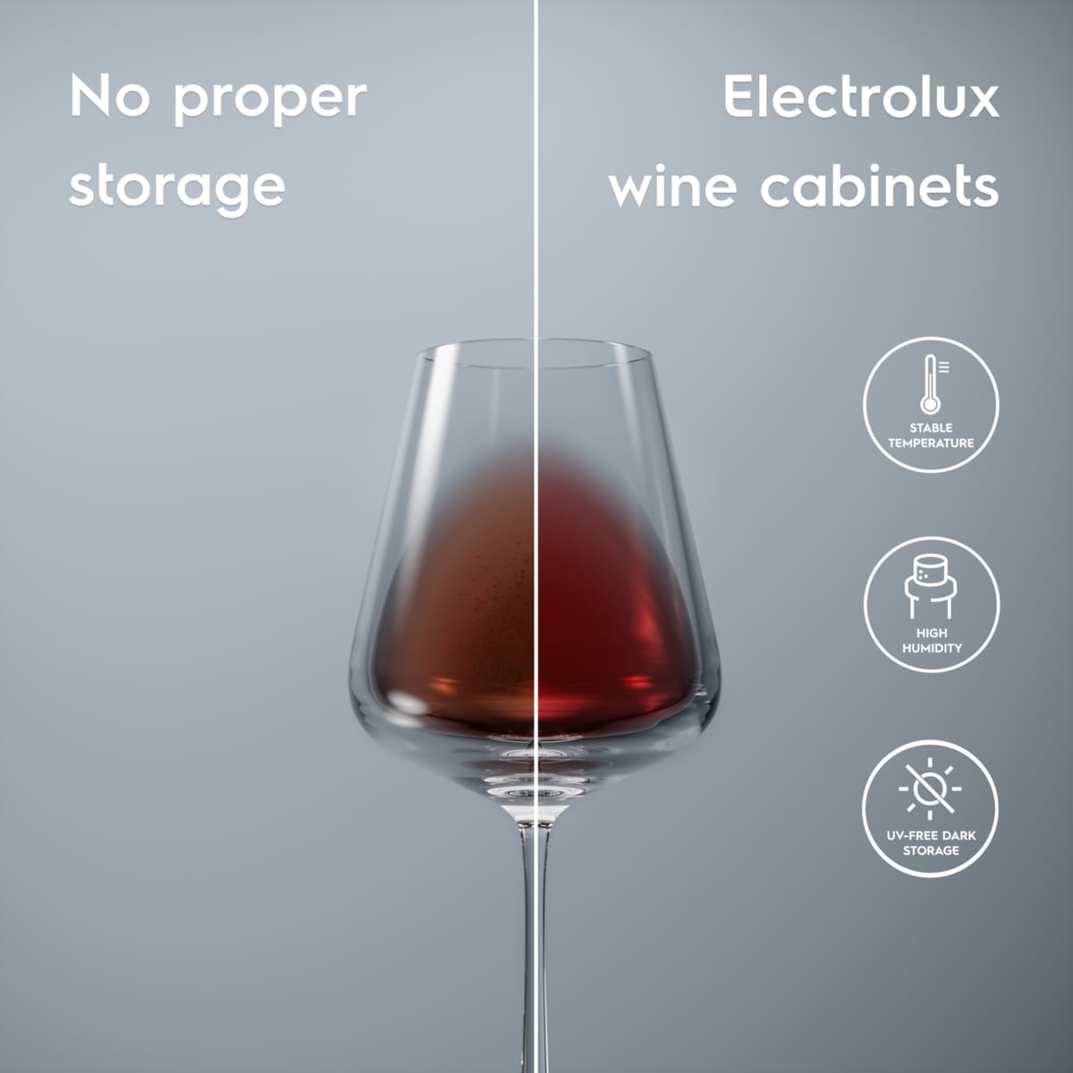 Electrolux - Cave à vin - EWUS020B5B