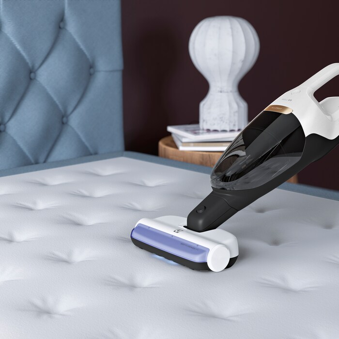 Electrolux - Balai sans fil - WQ81-ALRS
