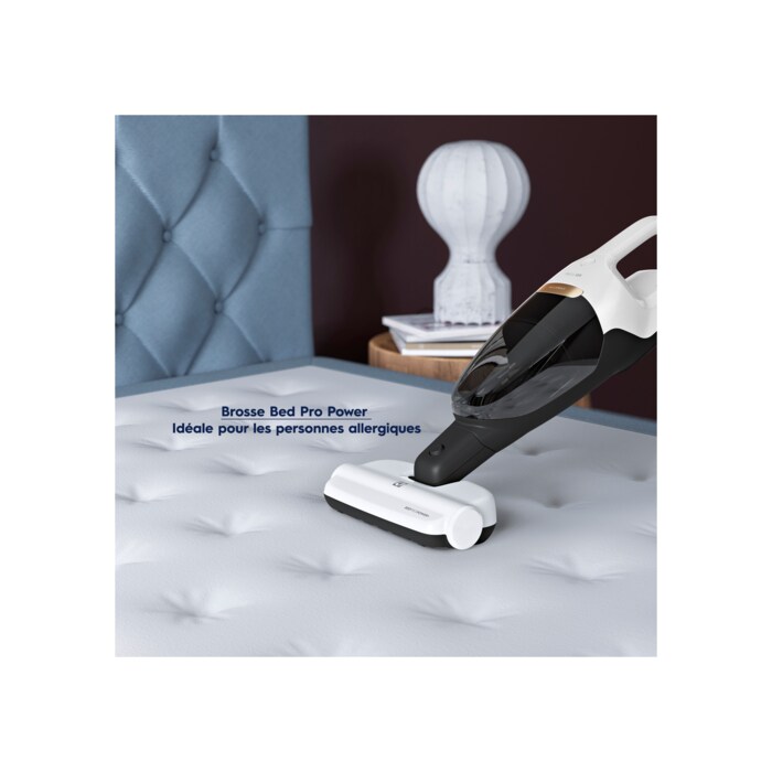 Electrolux - Balai sans fil - WQ81-PALRG