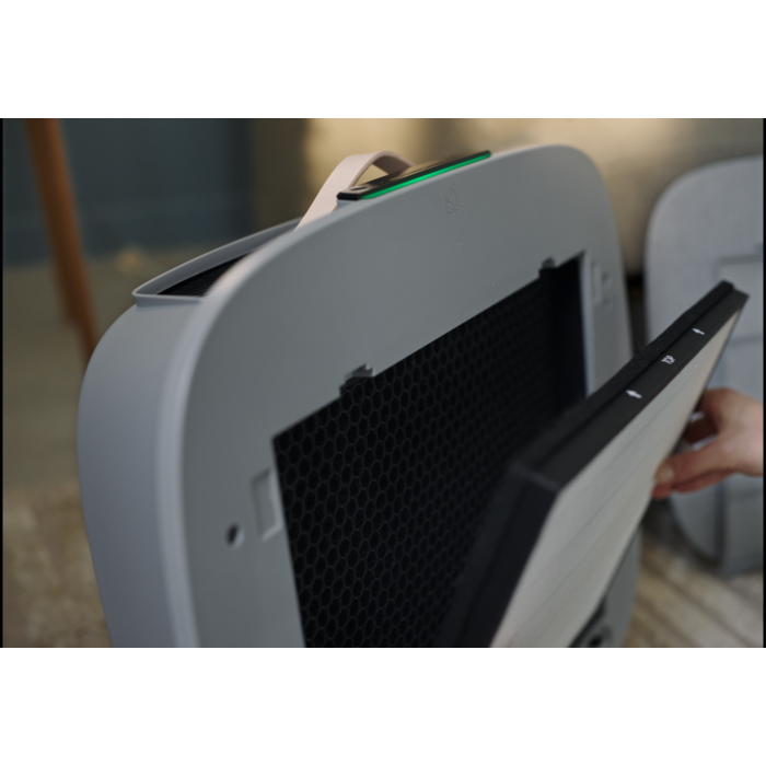 Electrolux - Filtres pour purificateurs d'air - EFWCAR3