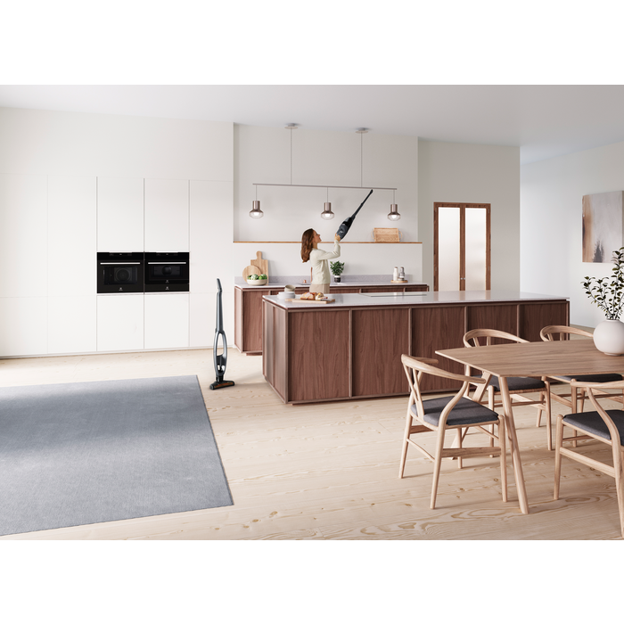Electrolux - Balai sans fil - WQ81-ANIMA