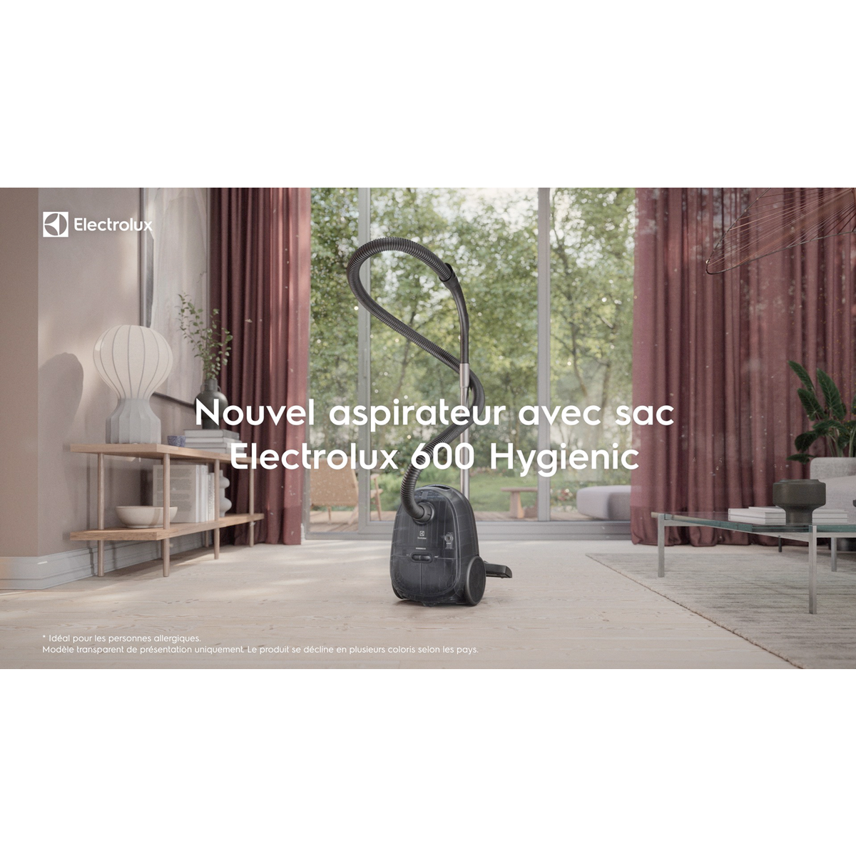 Electrolux - Aspirateur avec sac - EB61H6SW