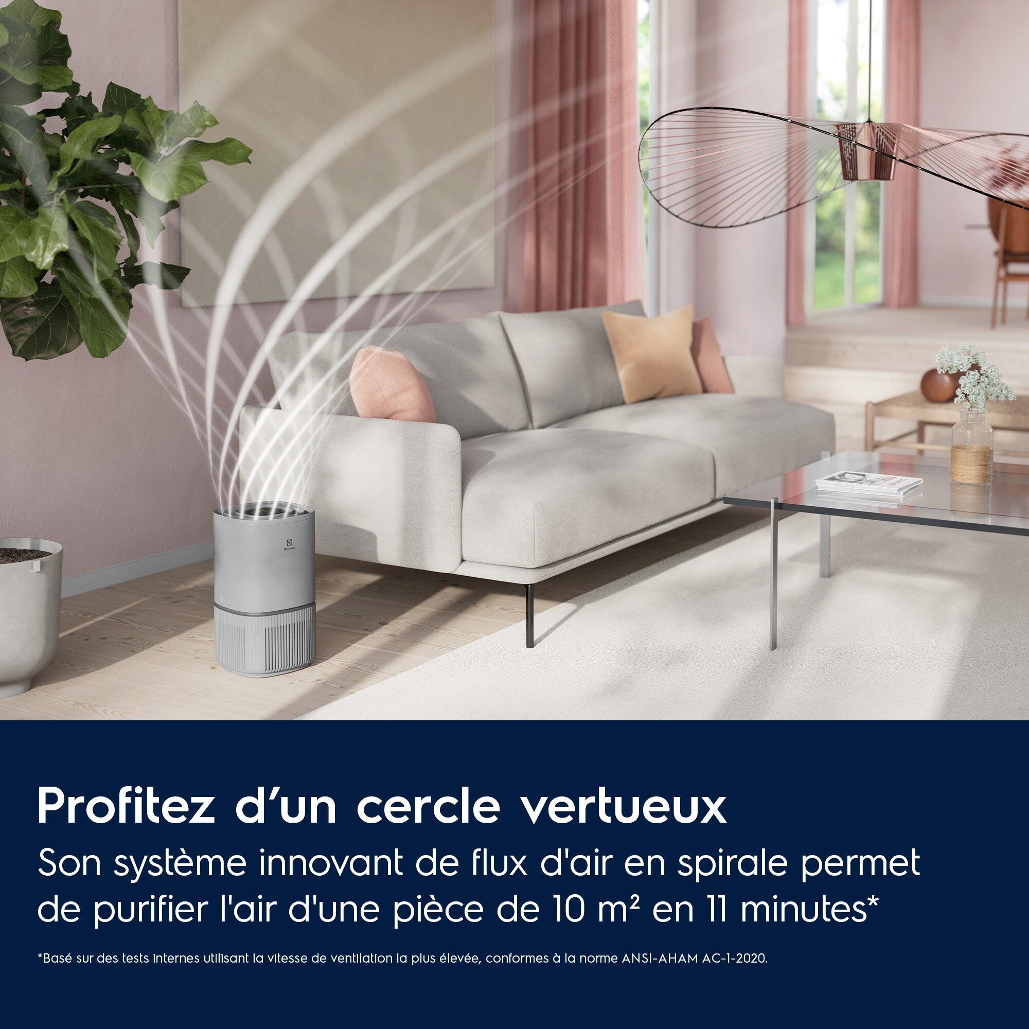 Electrolux - Purificateur d'air Oxygen - EPO50371UG