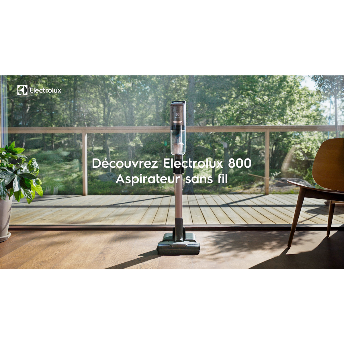 Electrolux - Balais avec fil - EP81ABGF