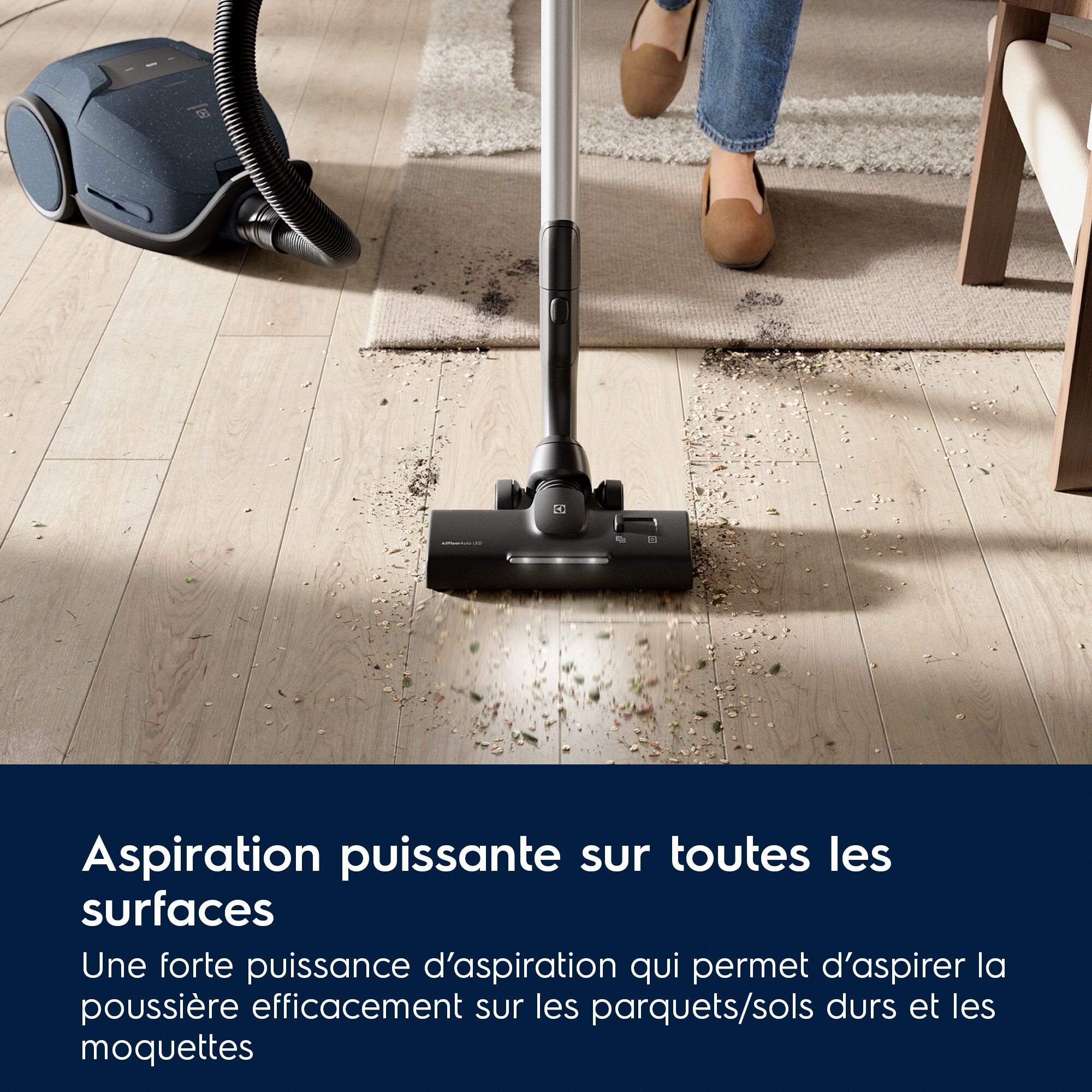 Electrolux - Aspirateur avec sac - EB81U1DB