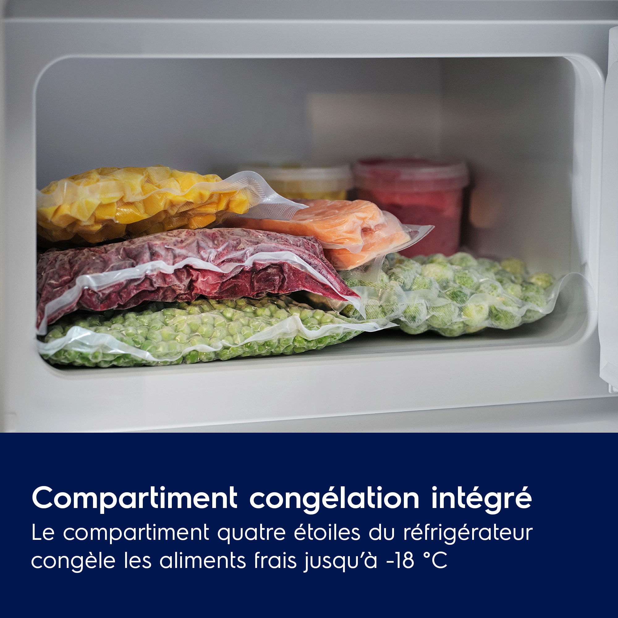 Electrolux - réfrigérateur encastrable - EFB3DF12S