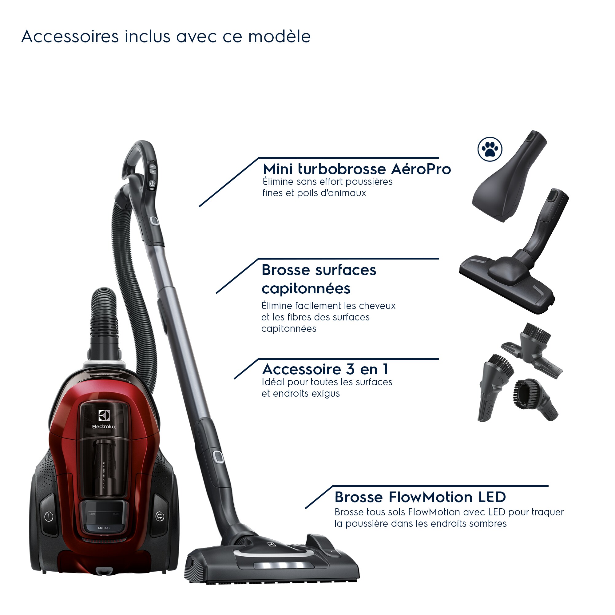 Electrolux - Aspirateur sans sac - PC91-ANIMA